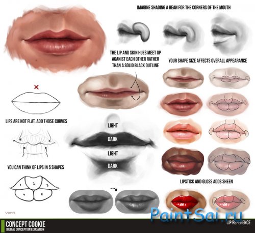 Рисуем губы человека