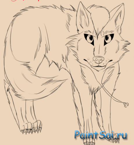 Рисование волка в программе Paint Tool SAI